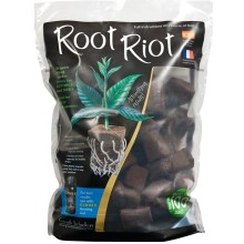 Semillero Root Riot 100u - Growth technology