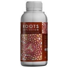 Roots Explosion - Kaya Solutions
