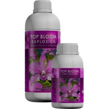 Top Bloom Explosion