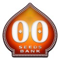Sweet Soma auto - 00 Seeds