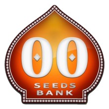 Sweet Soma auto - 00 Seeds