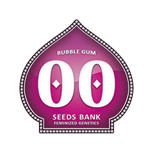 Bubble Gum fem - 00 Seeds