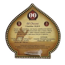 00 Cheese fem - 00 Seeds
