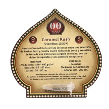 Caramel Kush fem - 00 Seeds