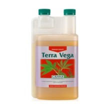 Terra Vega - Canna