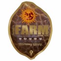 Morning Glory - Barney's Farm - Stock Renewal