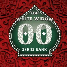White Widow CBD fem - 00 Seeds
