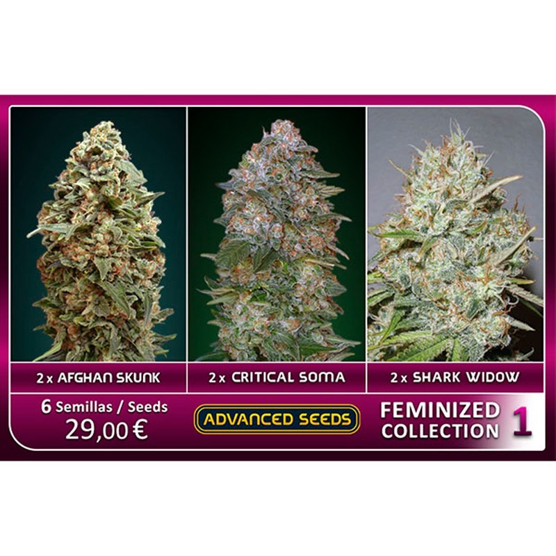 Feminized Collection 1 - Advanced Seeds 