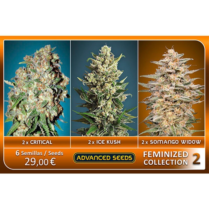 Feminized Collection 2 - Advanced Seeds