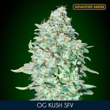 OG Kush SFV fem - Advanced Seeds