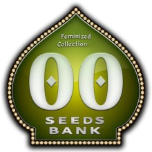 Feminized Collection 1 - 00 Seeds