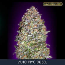 NYC Diesel auto