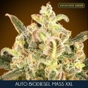 BioDiesel Mass xxl auto - Advanced Seeds
