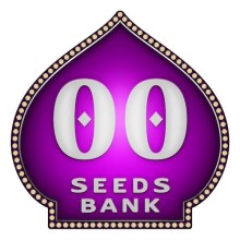 Autofloración Mix - 00 Seeds