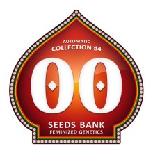 Automatic Collection 4 - 00 Seeds