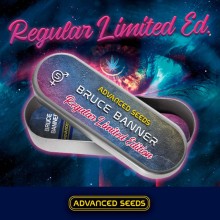 Bruce Banner reg - Advanced Seeds