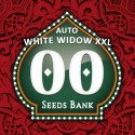 Auto White Widow XXL - 00 Seeds