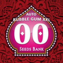 Auto Bubble Gum XXL - 00 Seeds