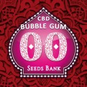 Bubble Gum CBD fem - 00 Seeds