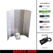 Basic Lighting Kit 600W