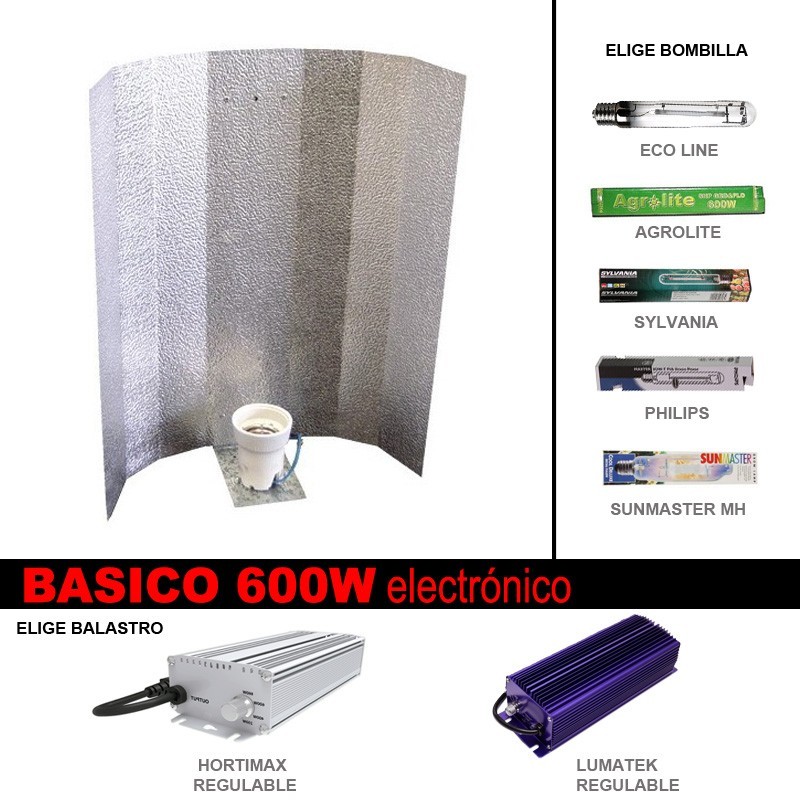 Basic Digital Lighting Kit 600W