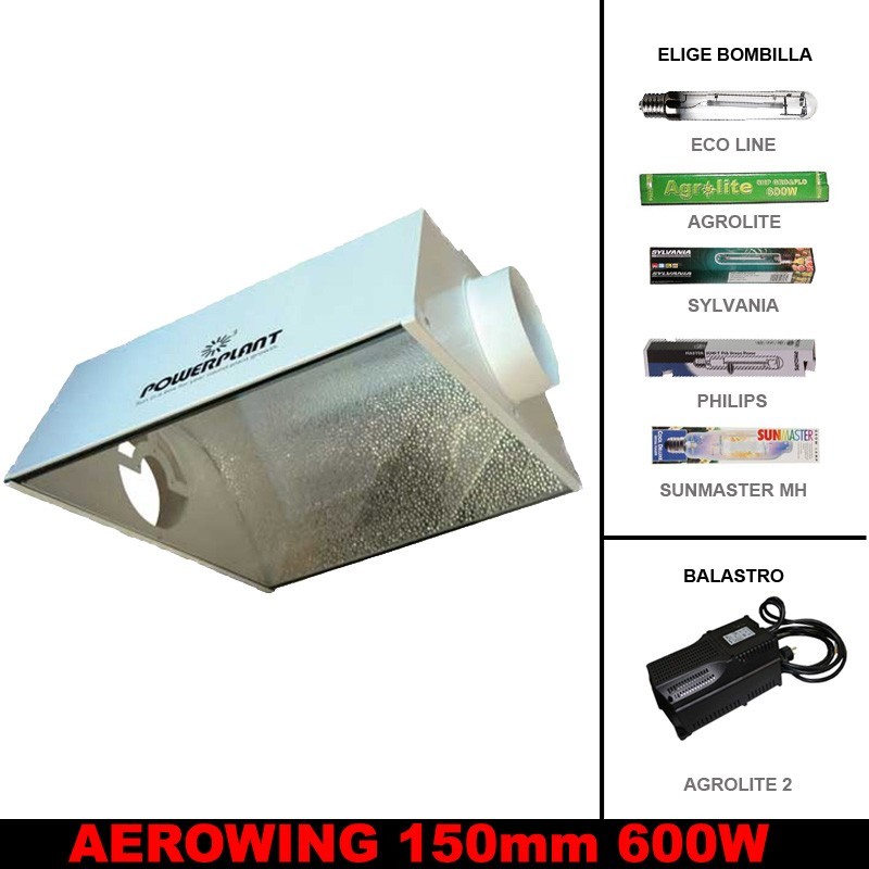 Kit  AeroWing 150mm 600W