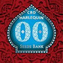 Harlequin CBD fem - 00 Seeds