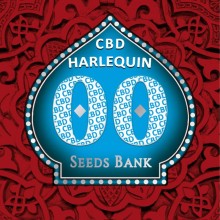 Harlequin CBD - 00 Seeds