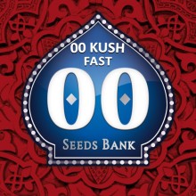 00 Kush Fast Version fem - 00 Seeds