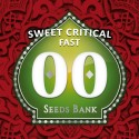 Sweet Critical Fast Version fem - 00 Seeds