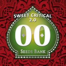 Sweet Critical 2.0 - 00 Seeds