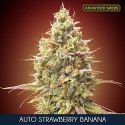 Auto Strawberry Banana - Advanced Seeds