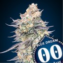 Blue Dream fem - 00 Seeds