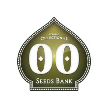 Feminized Collection 5 - 00 Seeds