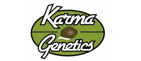Karma Genetics