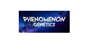 Phenomenon Genetics