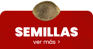 semillas de marihuana barcelona